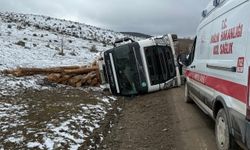 Tomruk yüklü tır devrildi: 1 yaralı