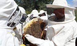 Eskişehir'de Arıköy kayıtları başladı...