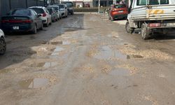 "Baksana" bakan yok!