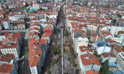 Eskişehir'in o bölgesinde budama çalışması başlıyor