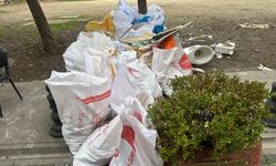 Moloz yığını çevre kirliliğine neden oldu!