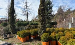 Eskişehir'de Millet Bahçesi yenileniyor!