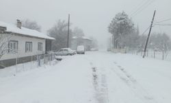 Bilecik'in o ilçesi beyaza büründü