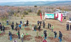 100 fidan toprakla buluştu