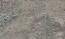 Dağ keçileri sürü halinde görüntülendi