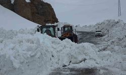 Türkiye'de kar rekoru: Kar kalınlığı 4 metreye yaklaştı