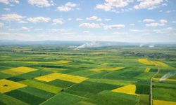 Alpu Termik Santrali için kritik karar!