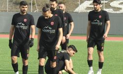 Bozanspor sürpriz peşinde!