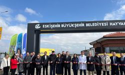 Sokak hayvanları için modern tesis hizmette