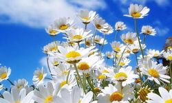 Üçüncü cemre ne zaman düşecek?