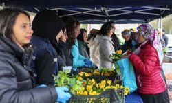 Mezarlıkta çiçekler Büyükşehir Belediyesi'nden