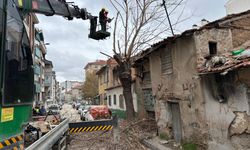 Budama çalışması