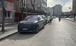 Eskişehir'de hatalı parklara ceza!