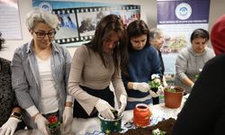 Atıklar rengarenk saksılara dönüştü