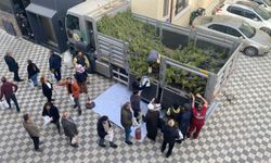 Eskişehir’de ücretsiz fidan dağıtımı