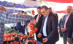 Domatesler güzelmiş...