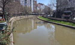 Porsuk Çayı renk değiştirdi