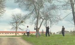 Doğaya zarar tepki çekti