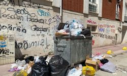 Yakışmayan görüntü