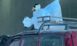 Bu yolculuk görenleri hayrete düşürdü!