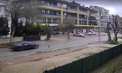 Otomobilin çarpmasıyla ölen kedinin yavrusu başından ayrılmadı