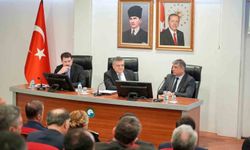 Sokak hayvanları için yol haritası belirlendi