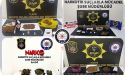 Zehir operasyonu: 30 tutuklama