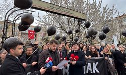 Eskişehir'de Milli Eğitim önünde balonlu protesto