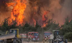 Orman yangınlarıyla ilgili bakanlıktan tepki çeken karar!