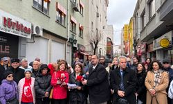 Laik ve bilimsel eğitim vurgusu!