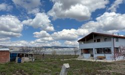 Eskişehir'de tarım arazilerine ceza!