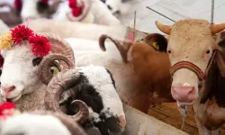 Eskişehir'de kurban kesimi ücreti ne kadar oldu?