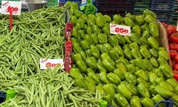 Vatandaş artık dolmada yapamayacak.... Biberin fiyatı adeta cep yakıyor!