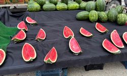 Yazın vazgeçilmezi olan karpuzun fiyatı cep yakıyor...