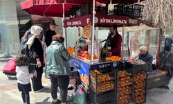 Havalar ısındı limonata yoğunluğu arttı!