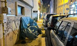 Tepki çeken görüntü!