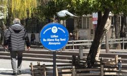 Uyarıya uymadılar!