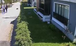 Hırsızlık yapan 2 kadın kıskıvrak yakalandı!
