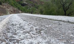Dolu yağışı etkili oldu