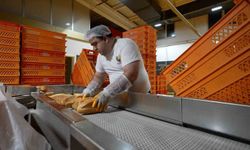 Günde 100 bini aşan ekmek üretiyorlar