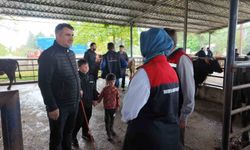 Hayvan sevkiyatına sıkı kontrol