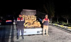 Kaçak avlanan 800 kilo balık ele geçirildi