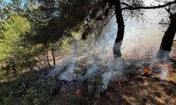 Ormanlık alanda yangın çıktı
