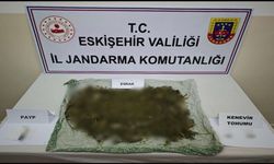 Jandarmadan Sarıcakaya'ya zehir baskını!