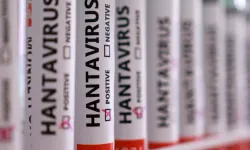Türkiye’de hantavirüs vakası var mı? Sağlık Bakanlığı açıkladı