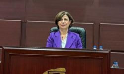 ESKİ’deki inceleme için soruşturma kararı