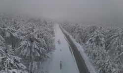 Eskişehir'de o yollar kapandı!