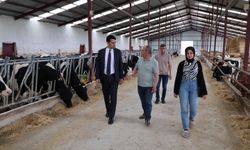 Hayvancılık faaliyetlerini inceledi