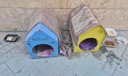 Dikkat çeken uyarı: "Lütfen dokunmayalım"