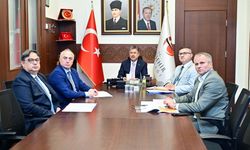 Sahipsiz hayvanlara yönelik çalışmalar masaya yatırıldı